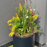 Gemeinsame Wohlfuelzeit - 2