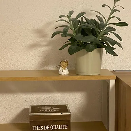 2 Ferienunterkunft Gemeinsame Zeit Appenweier